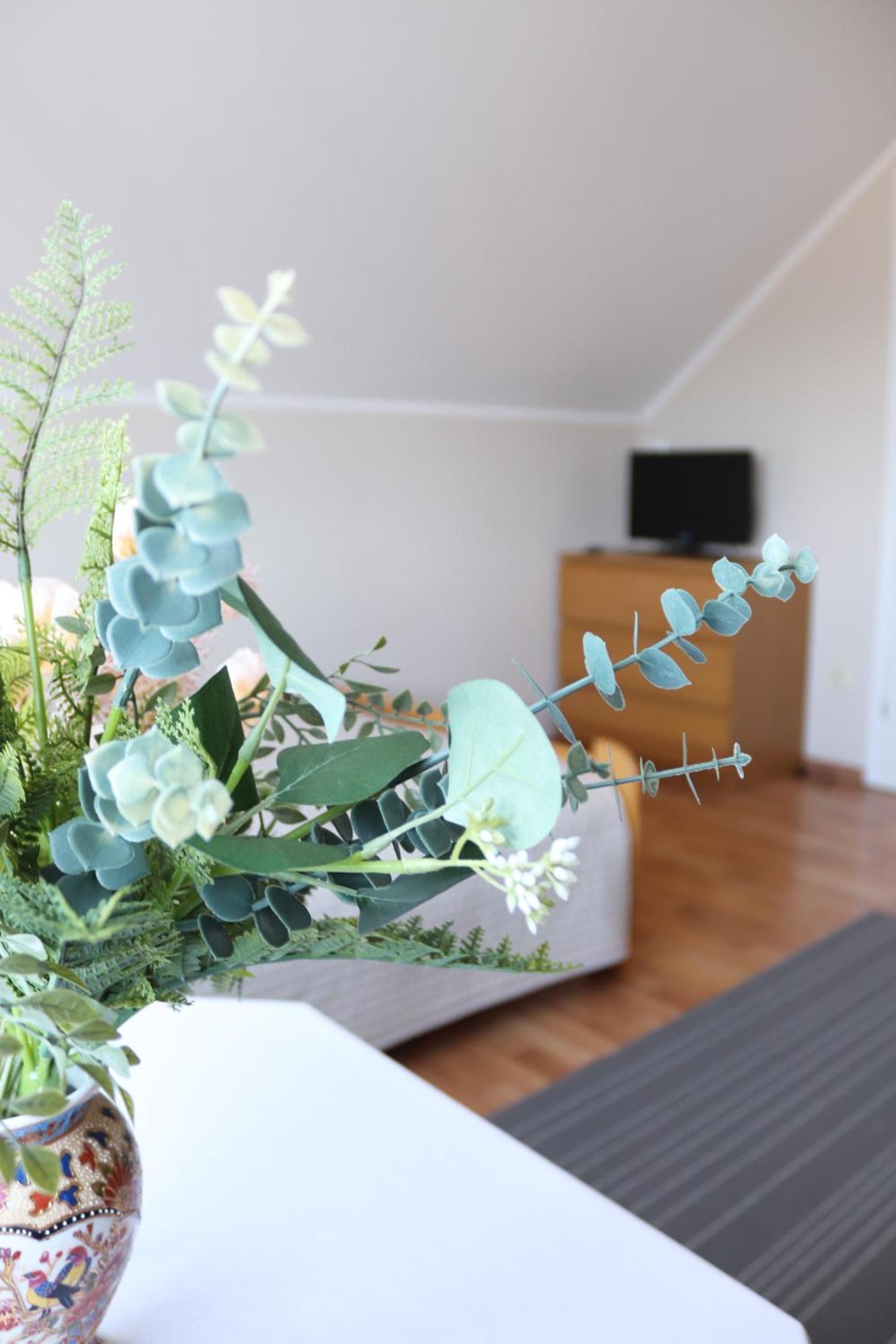 Pokoje&Apartamenty Plus Minus - Władysławowo Exterior foto